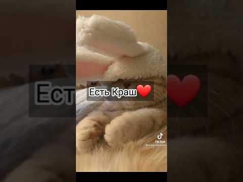 Видео: пой эту песню если ты..... 💫💌❣️