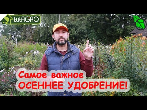 Видео: Это ОСЕННЕЕ УДОБРЕНИЕ улучшит плодородие, оздоровит участок и даст урожай. Как часто его применять?