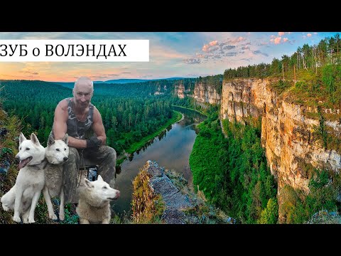 Видео: Александр Зубов о породе Волэнд