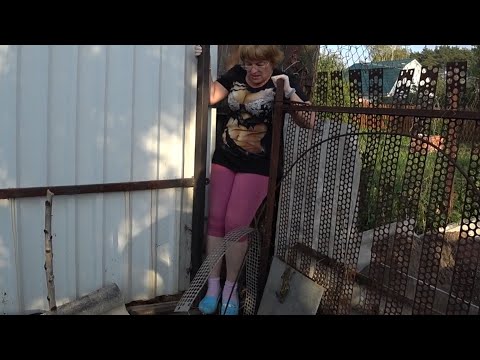 Видео: ВЛОГ Спасали участок соседки 🤭😳 / Бдительная Любанька 👍/ Света и Женька 6 сентября 2018 г.