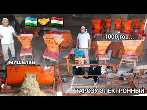 Видео: Дробилкаҳои ӮЗБЕКИСТОН дар ТОҶИКИСТОН Аксия шуд вилояти СУҒД ҲАТМАН ТАМОШО КУНЕД АРЗОН...