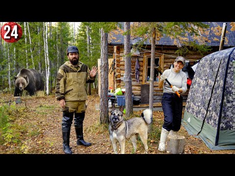 Видео: Bushcraft - 34,35 день. Рыбалка в глухой тайге. Река забита щукой. Сбор грибов. Бушкрафт по-русски