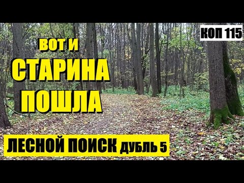 Видео: Вот и старина пошла., коп 115 #metaldetectingfinds #монеты #находки #поиск #антиквариат #заброшка