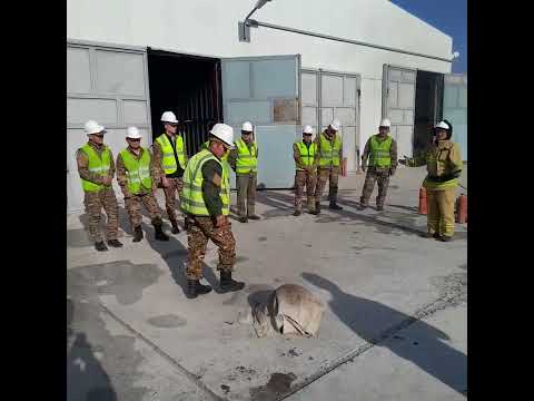 Видео: 28 сентября 2025 г.