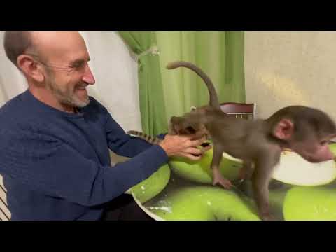 Видео: ЛЮСЬКА ОТЖИГАЕТ! Мы смеётся не переставая!