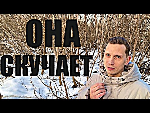 Видео: ПРОЙДЁТ ВРЕМЯ, и БЫВШАЯ САМА С ВАМИ ВЫЙДЕТ НА СВЯЗЬ И БУДЕТ ЗАСТАВЛЯТЬ ВАС ЕЁ ПРОСТИТЬ.