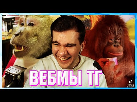 Видео: БРАТИШКИН СМОТРИТ ВЕБМЫ ТГ (2 ЧАСТЬ)