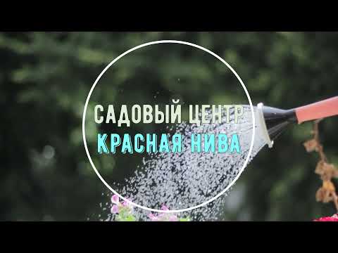 Видео: Отвечаем на вопросы наших зрителей №24