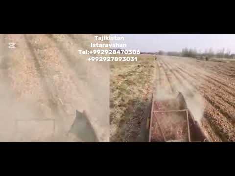 Видео: Пиёз капател трактор тч 