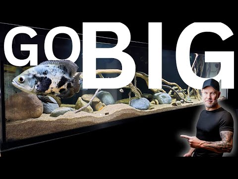 Видео: САМАЯ ГЛАВНАЯ причина, по которой большие танки лучше