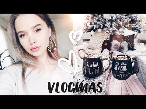 Видео: НОВОГОДНИЙ ШОППИНГ В НЬЮ-ЙОРКЕ. ЧТО КУПИЛА в HOMEGOODS? | VLOGMAS DAY 8 {DARY YORK}
