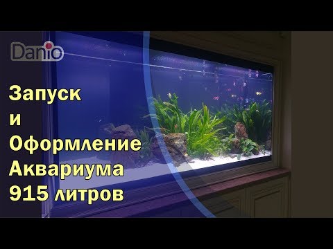Видео: Аквариум  915 литров, запуск и оформление