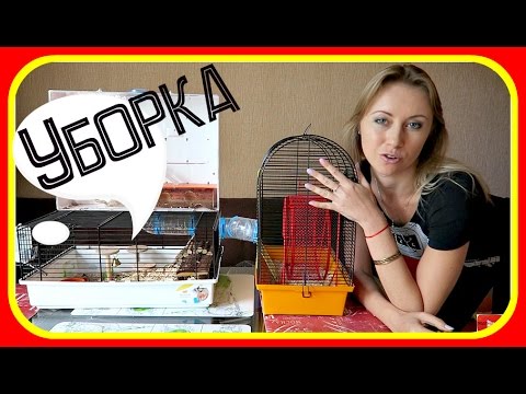Видео: Уборка клетки хомяка. Соединяем две клетки