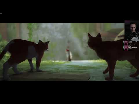 Видео: Stray - ep.1 Мяу! Мяк!
