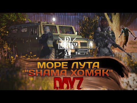 Видео: DayZ 2023 #16 МОРЕ ЛУТА SHAMA ХОМЯК!!!