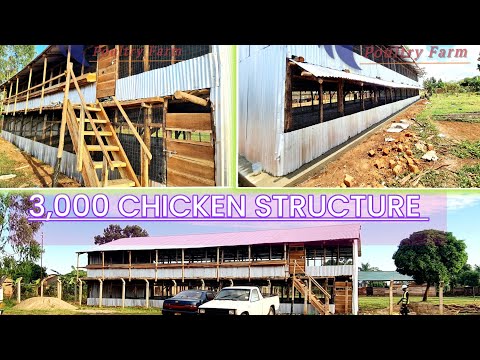 Видео: Строительство 3000 курятников/курятников для кур-несушек и бройлеров.