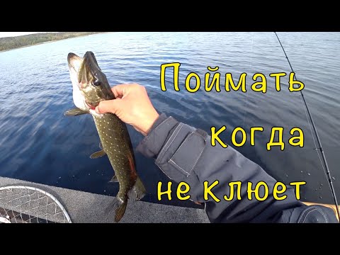 Видео: Рыбалка с ТЕСТЕМ. Ловля на НЫТЬЁ.