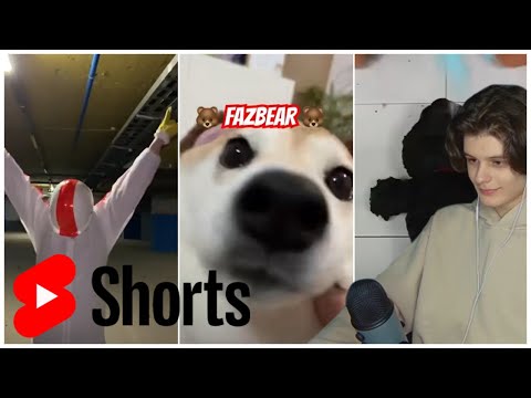 Видео: СЫР СМОТРИТ SHORTS