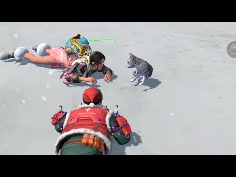 Видео: Кот с мешком ценного лута. Last Island of Survival