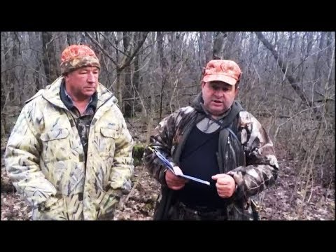 Видео: Новопокровские районные испытания  гончих по зайцу-русаку.