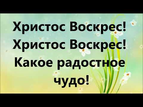Видео: Воскрес из гроба наш Спаситель - Семья Кирнев