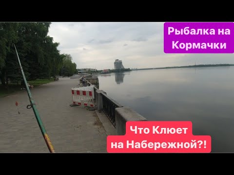 Видео: Рыбалка в Центре Города🔥Карась Дуреет от Кормачков🔥Днепр Набережная🔥Что на Что Клюет🔥Ловля на Фидер🔥