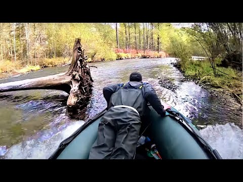 Видео: В ДЕБРИ НА ВОДОМЁТЕ. Попал на осенний жор. Хариус Ленок