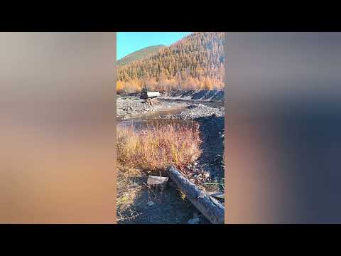 Видео: Вахта Магаданская область август-октябрь 2025