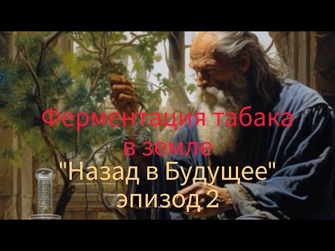 Видео: #табак ферментация в земле (ч.2начало)