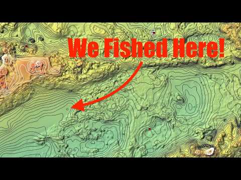 Видео: ОТКРЫТО НОВОЕ РЫБНОЕ МЕСТО! Простой ход для БОЛЬШИХ результатов.