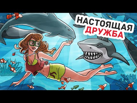 Видео: Я Отказалась от Обычной Жизни и Теперь Живу в Раю