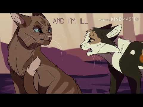 Видео: Коты воители Кленовница клип ,,Плакала,,.