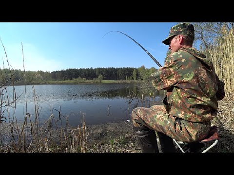 Видео: Поехал за карасём, а попался он...#рыбалканаозере#удочка#поплавок