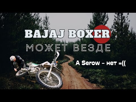 Видео: Продолжаем оффроуд тест Bajaj Boxer 150. Глубокие лужи и бесконечный лес.