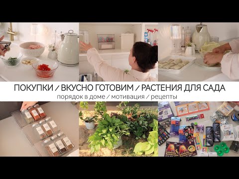 Видео: НАХОДКИ ФИКС ПРАЙС / ВКУСНО ГОТОВИМ / НОВЫЕ РАСТЕНИЯ ДЛЯ САДА / ДОМАШНИЕ ДЕЛА