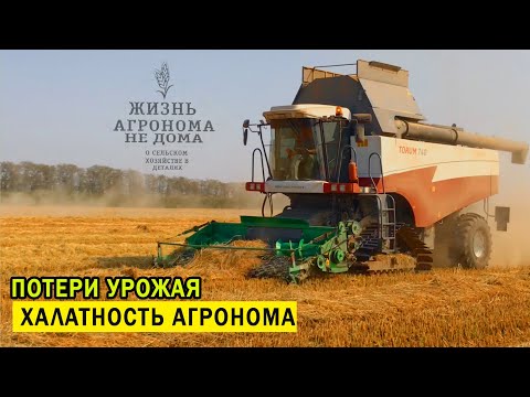 Видео: РИС, ПОТЕРИ УРОЖАЯ-ХАЛАТНОСТЬ АГРОНОМА! Сахарная свёкла-итоги уборки опытов.