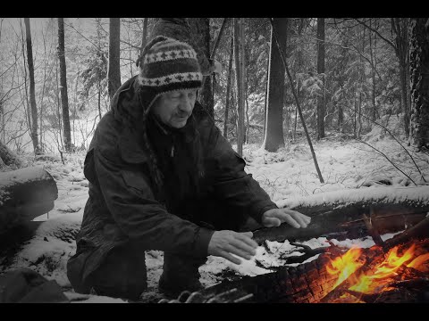Видео: Памяти В.А. Ромейко