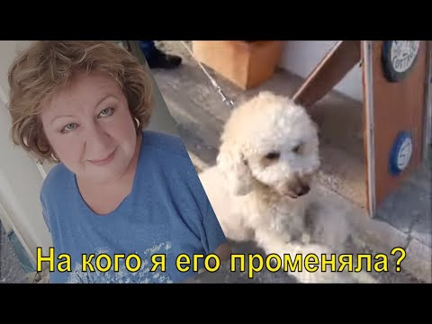 Видео: МОИ ИСТОРИИ. МОИ ЗНАКОМСТВА. ТАК  ЧТО ЖЕ У НАС С ФЕРМЕРОМ?..