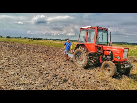 Видео: Таку оранку і не соромно показати! Перегорюєм овес і засівєм гірчицю трактором Т25!