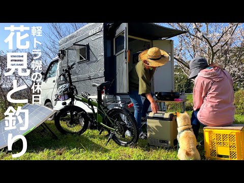 Видео: Праздник легковых грузовиков. Наслаждайтесь цветением сакуры и отправляйтесь на рыбалку.