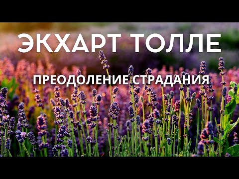 Видео: Преодоление страдания - ЭКХАРТ ТОЛЛЕ [Nikosho]