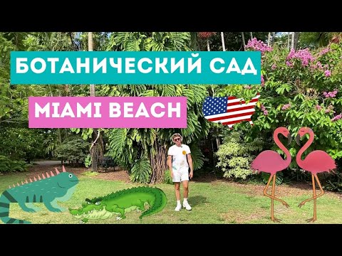 Видео: Прогулки в ТРОПИЧЕСКОМ саду