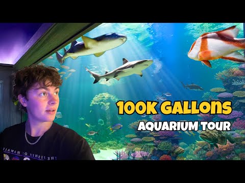 Видео: Экскурсия по новейшему аквариуму Флориды??? (100 000 галлонов)