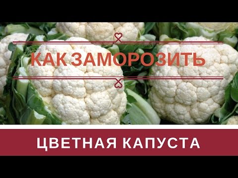 Видео: Как Заморозить Цветную Капусту на Зиму