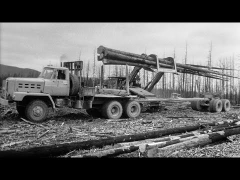 Видео: Как поживаете, сахалинские лесорубы? 1990, Фартусов