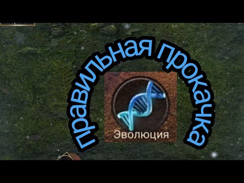 Видео: the ants underground kingdom как правильно прокачивать эволюцию, быстрая прокачка