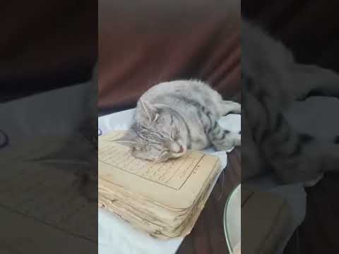 Видео: РУХПЕН ЖАЗЫЛҒАН ҚАСИЕТТІ КІТАП.