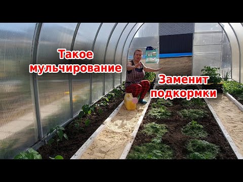 Видео: Такая мульча удвоит урожай - проверено!