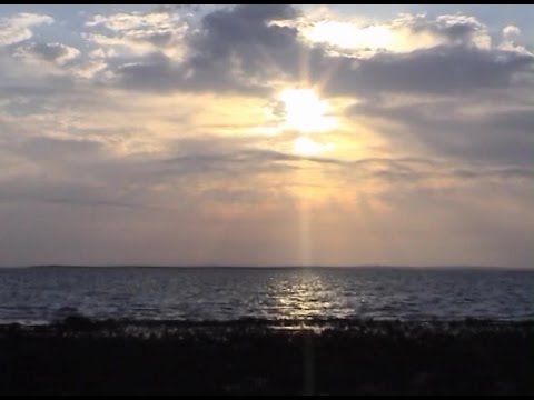Видео: Калмыкия. Куда приводят мечты
