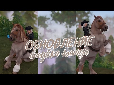 Видео: Новые масти | Покупка арденской лошади | Star Stable